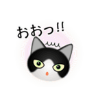 色々な猫16-1 短毛-立ち耳-黒白（個別スタンプ：10）