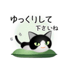 色々な猫16-1 短毛-立ち耳-黒白（個別スタンプ：12）