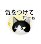 色々な猫16-1 短毛-立ち耳-黒白（個別スタンプ：14）