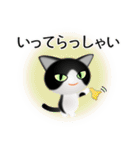 色々な猫16-1 短毛-立ち耳-黒白（個別スタンプ：15）