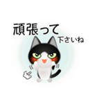 色々な猫16-1 短毛-立ち耳-黒白（個別スタンプ：16）