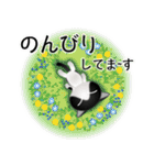 色々な猫16-1 短毛-立ち耳-黒白（個別スタンプ：19）