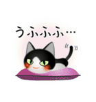 色々な猫16-1 短毛-立ち耳-黒白（個別スタンプ：25）