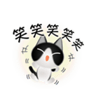 色々な猫16-1 短毛-立ち耳-黒白（個別スタンプ：26）
