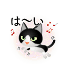 色々な猫16-1 短毛-立ち耳-黒白（個別スタンプ：29）