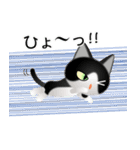 色々な猫16-1 短毛-立ち耳-黒白（個別スタンプ：34）