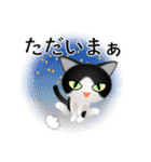 色々な猫16-1 短毛-立ち耳-黒白（個別スタンプ：38）