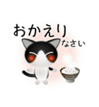 色々な猫16-1 短毛-立ち耳-黒白（個別スタンプ：39）