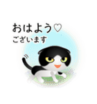 色々な猫16-2 短毛-垂れ耳-黒白（個別スタンプ：1）