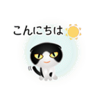 色々な猫16-2 短毛-垂れ耳-黒白（個別スタンプ：5）