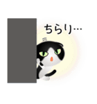 色々な猫16-2 短毛-垂れ耳-黒白（個別スタンプ：6）