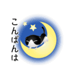 色々な猫16-2 短毛-垂れ耳-黒白（個別スタンプ：7）
