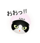 色々な猫16-2 短毛-垂れ耳-黒白（個別スタンプ：10）