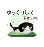 色々な猫16-2 短毛-垂れ耳-黒白（個別スタンプ：12）