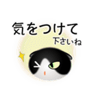 色々な猫16-2 短毛-垂れ耳-黒白（個別スタンプ：14）