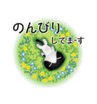 色々な猫16-2 短毛-垂れ耳-黒白（個別スタンプ：19）