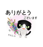 色々な猫16-2 短毛-垂れ耳-黒白（個別スタンプ：31）