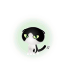 色々な猫16-2 短毛-垂れ耳-黒白（個別スタンプ：37）