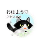 色々な猫16-3 長毛-立ち耳-黒白（個別スタンプ：1）