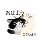 色々な猫16-3 長毛-立ち耳-黒白（個別スタンプ：2）