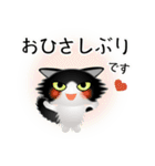 色々な猫16-3 長毛-立ち耳-黒白（個別スタンプ：3）