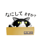 色々な猫16-3 長毛-立ち耳-黒白（個別スタンプ：8）