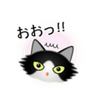 色々な猫16-3 長毛-立ち耳-黒白（個別スタンプ：10）