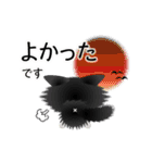 色々な猫16-3 長毛-立ち耳-黒白（個別スタンプ：11）