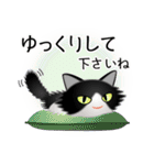色々な猫16-3 長毛-立ち耳-黒白（個別スタンプ：12）