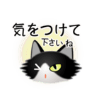 色々な猫16-3 長毛-立ち耳-黒白（個別スタンプ：14）