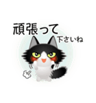 色々な猫16-3 長毛-立ち耳-黒白（個別スタンプ：16）