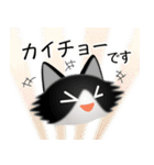 色々な猫16-3 長毛-立ち耳-黒白（個別スタンプ：17）