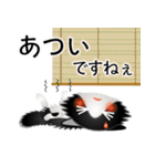 色々な猫16-3 長毛-立ち耳-黒白（個別スタンプ：21）