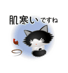 色々な猫16-3 長毛-立ち耳-黒白（個別スタンプ：22）