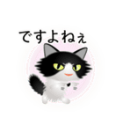 色々な猫16-3 長毛-立ち耳-黒白（個別スタンプ：23）