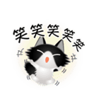色々な猫16-3 長毛-立ち耳-黒白（個別スタンプ：26）