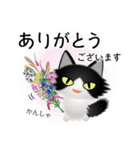 色々な猫16-3 長毛-立ち耳-黒白（個別スタンプ：31）