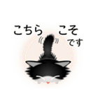 色々な猫16-3 長毛-立ち耳-黒白（個別スタンプ：32）