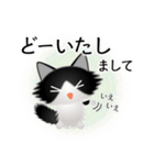 色々な猫16-3 長毛-立ち耳-黒白（個別スタンプ：33）