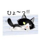 色々な猫16-3 長毛-立ち耳-黒白（個別スタンプ：34）