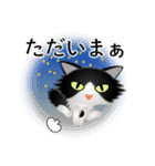 色々な猫16-3 長毛-立ち耳-黒白（個別スタンプ：38）