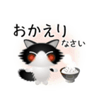 色々な猫16-3 長毛-立ち耳-黒白（個別スタンプ：39）