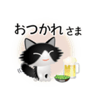 色々な猫16-3 長毛-立ち耳-黒白（個別スタンプ：40）