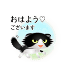 色々な猫16-4 長毛-垂れ耳-黒白（個別スタンプ：1）