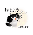 色々な猫16-4 長毛-垂れ耳-黒白（個別スタンプ：2）