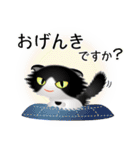 色々な猫16-4 長毛-垂れ耳-黒白（個別スタンプ：4）
