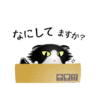色々な猫16-4 長毛-垂れ耳-黒白（個別スタンプ：8）
