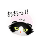 色々な猫16-4 長毛-垂れ耳-黒白（個別スタンプ：10）