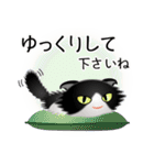 色々な猫16-4 長毛-垂れ耳-黒白（個別スタンプ：12）