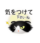 色々な猫16-4 長毛-垂れ耳-黒白（個別スタンプ：14）
